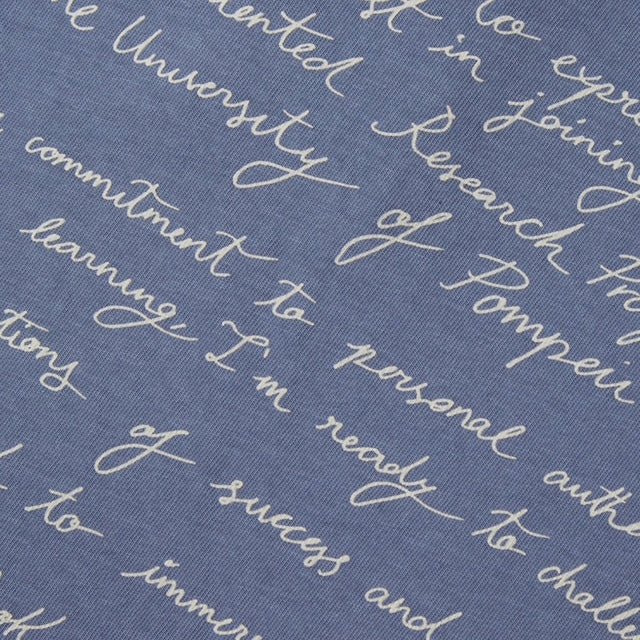 Pompeii Admission Letter Marengo Blue T-Shirt image 2