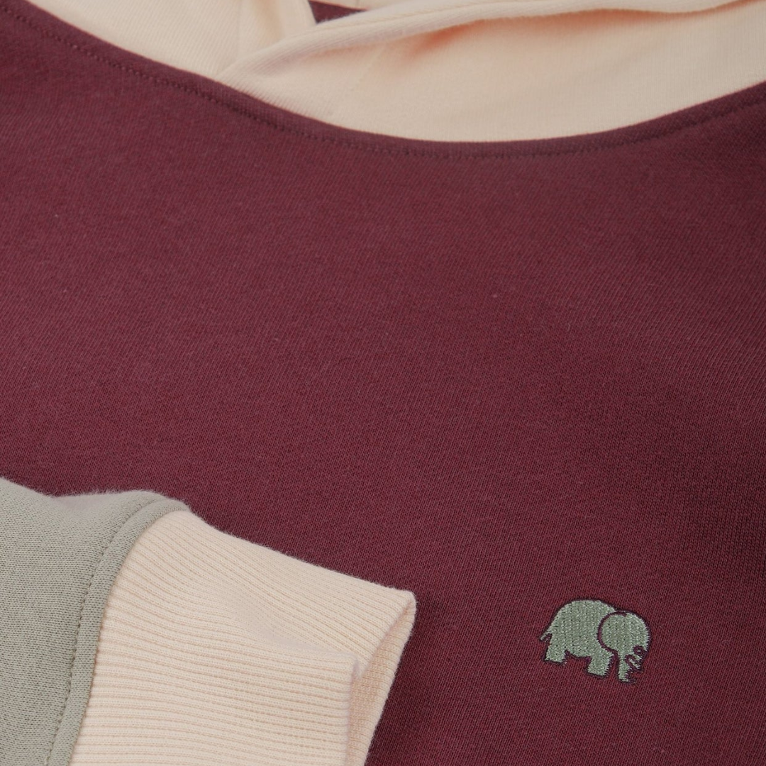 Trendsplant Colour Block Hoodie